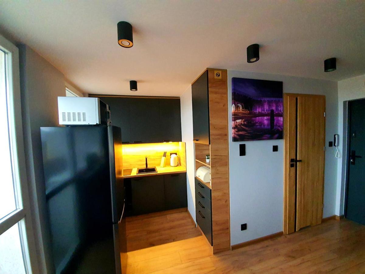 Apartament Przy Alei Kopernika اينوفروسواف المظهر الخارجي الصورة