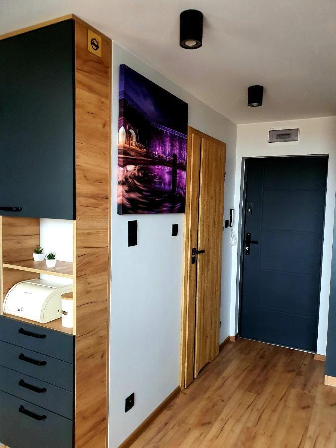 Apartament Przy Alei Kopernika اينوفروسواف المظهر الخارجي الصورة