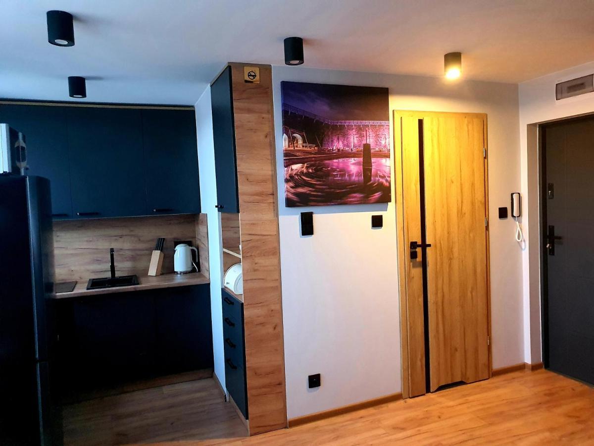 Apartament Przy Alei Kopernika اينوفروسواف المظهر الخارجي الصورة
