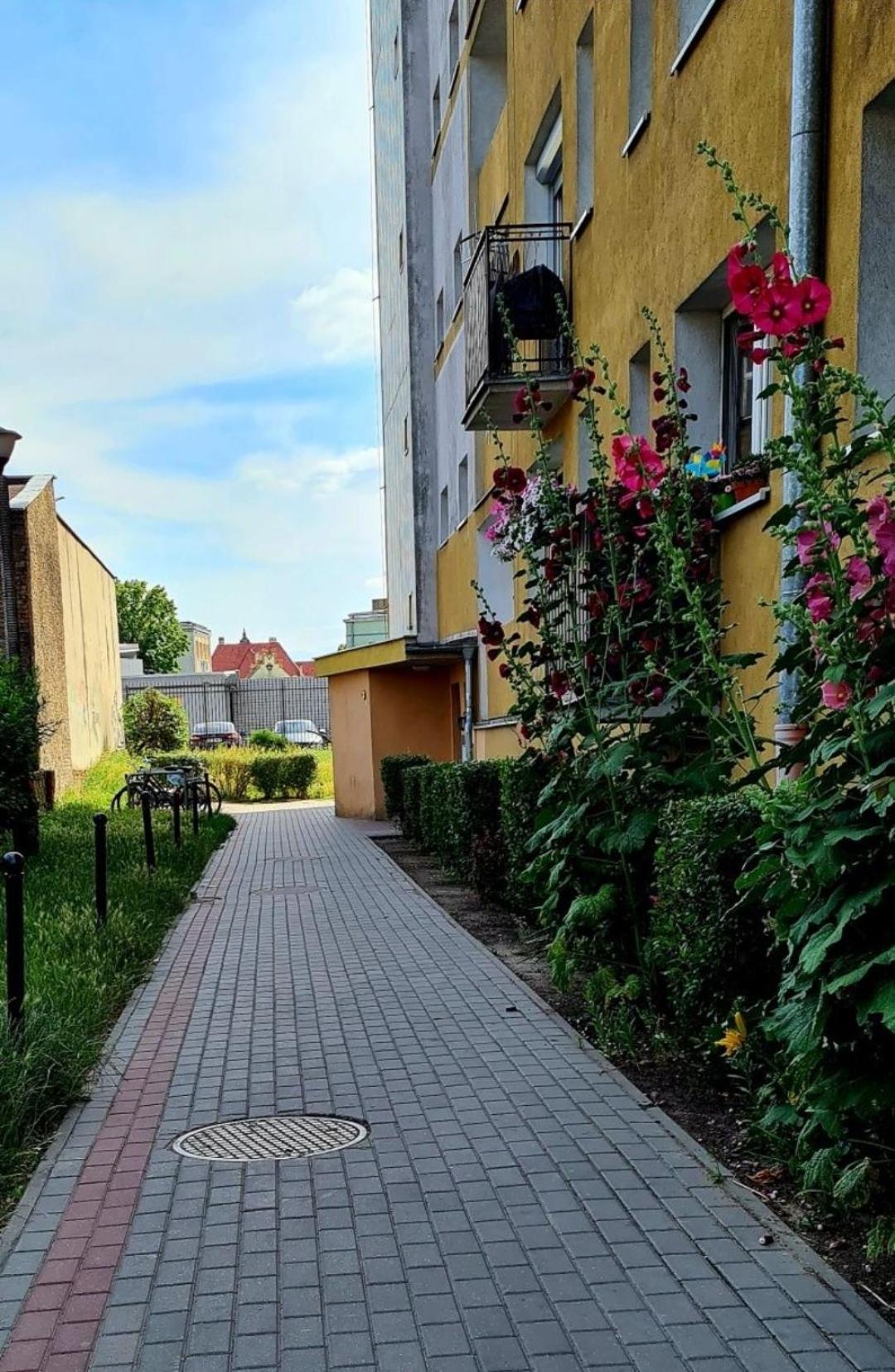 Apartament Przy Alei Kopernika اينوفروسواف المظهر الخارجي الصورة